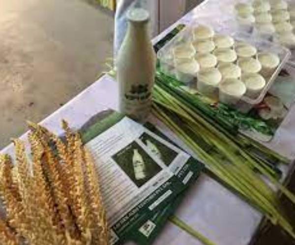 கோயம்புத்தூர் தான் சரி