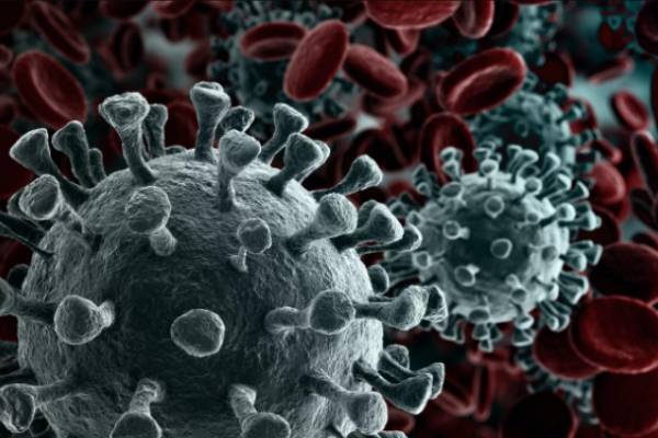  SARS-CoV-2 வைரஸ்