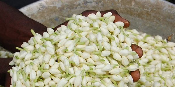 எவ்வளவு ஏற்றுமதி