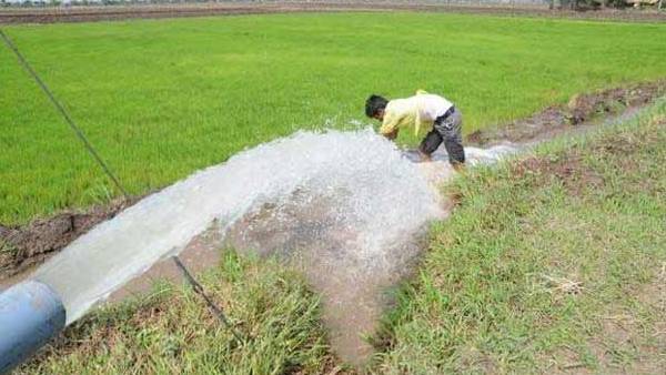 இலவச மின்சாரம் கிடைகுமா? 