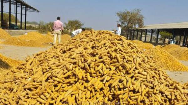 உற்பத்தியினை அதிகரிக்கலாம் 