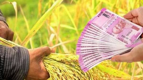 முந்தைய அரசின் பயிர்க் கடன் தள்ளுபடி