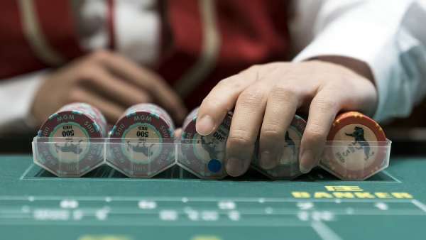 கசினோ பிரிவு 