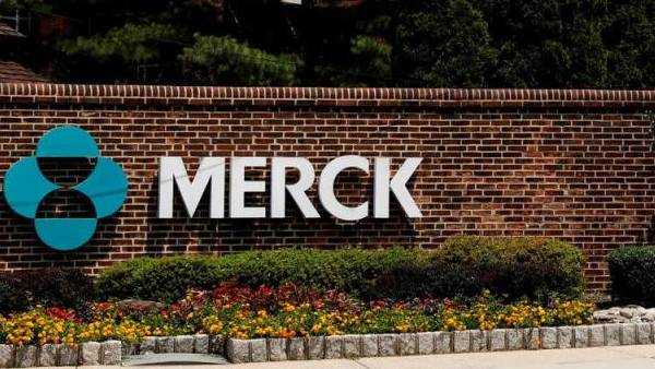 மெர்க் நிறுவனம் 