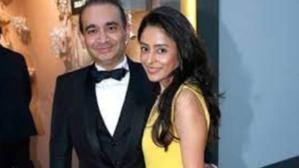 பூர்வி மோடி சம்பளம் மற்றும் வருமானம் 