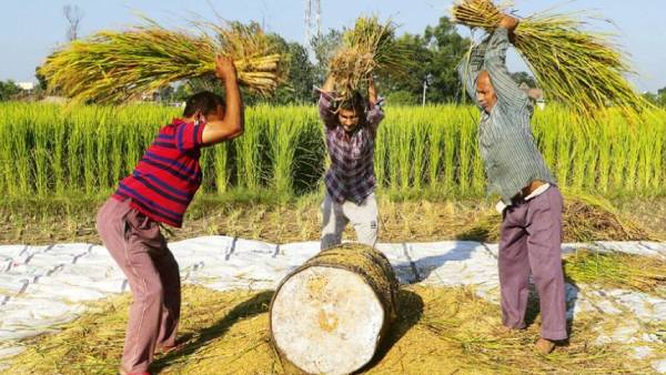  பிரதமர் கிசான் மந்தன் யோஜனா