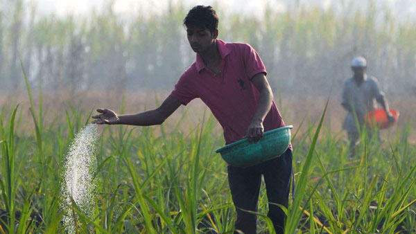 உரங்கள் பிரிவு நிறுவனங்கள்