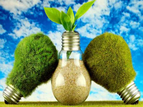  சுற்றுசூழல்