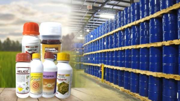 5 ஆண்டுகளுக்கு முன்பு முதலீடு 