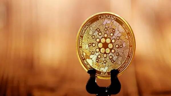  சி சான்ட்பாக்ஸ் (SAND)