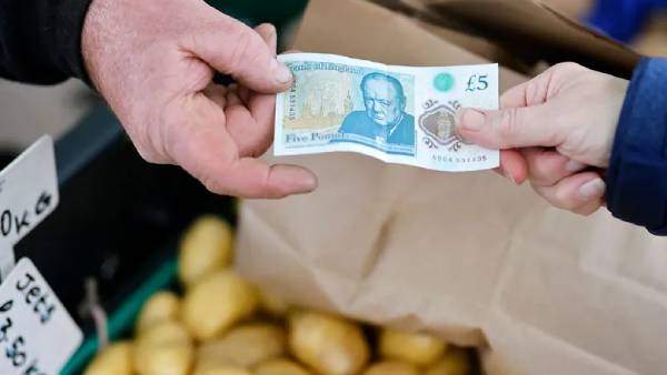  OECD அமைப்பு