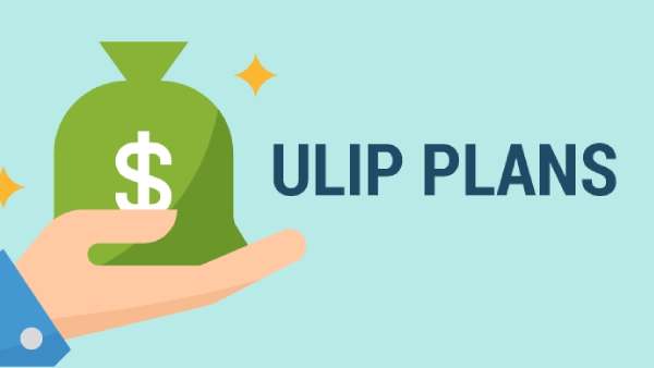 யூலிப் திட்டம் 