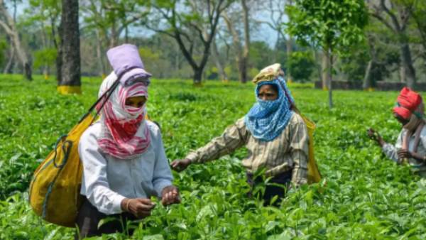  99 வருடம் மட்டுமே