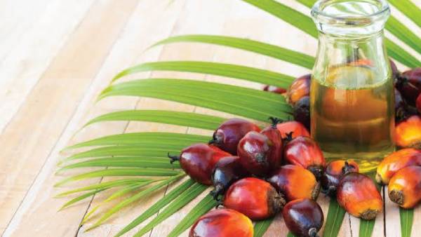  பியூச்சர் டிரேடிங் தடை