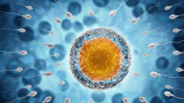  கவுண்ட் டவுன் புத்தகம்