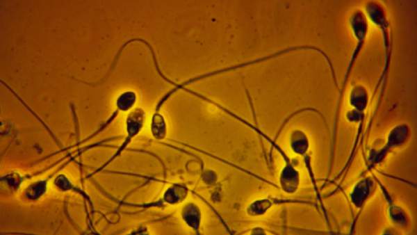  50 சதவீதம் சரிவு