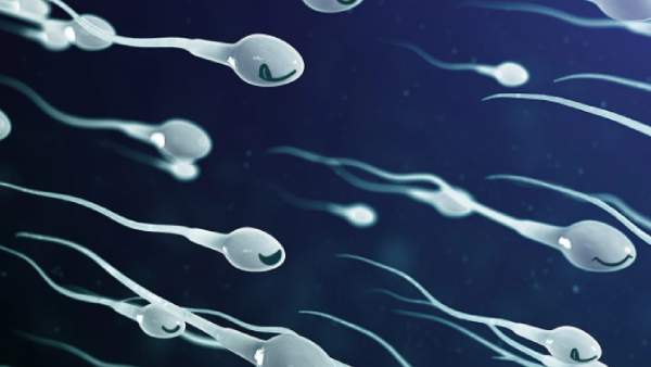  காற்று மாசுபாடு