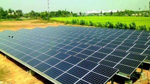 பயோமாஸ் பாய்லர் 