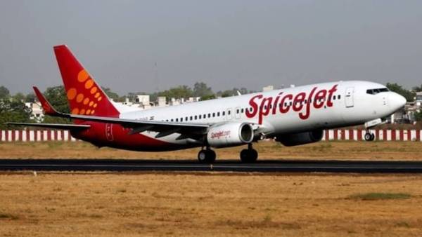  கிரெட்டி சூசி வழக்கு