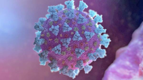 கொரோனா மற்றும் ஓமிக்ரான்