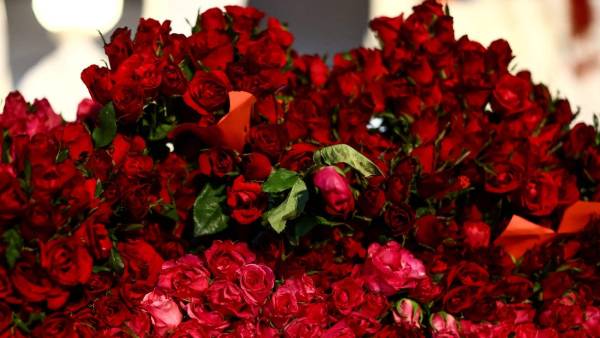  பெங்களூர் டாப்பு