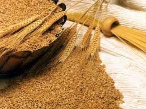 உற்பத்தி அதிகரிக்கலாம் 