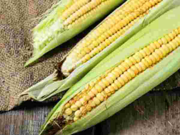 விலை தொடர் ஏற்றம்