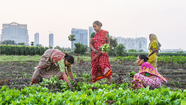 இளைஞர்களுக்கு விவசாய பயிற்சி