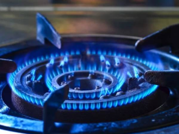  விலையை சற்று கட்டுப்படுத்தலாம் 