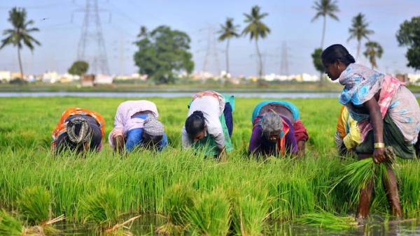 தெலுங்கானா, ஆந்திரா 