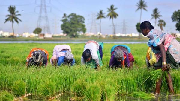ஓய்வூதியம் 