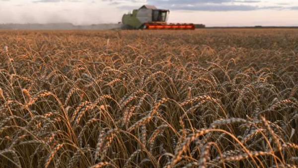  ரிடைல் விலை