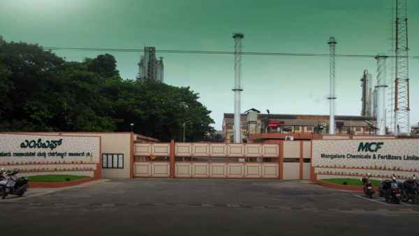  டெக்னிக்கல் பேட்டர்ன் 