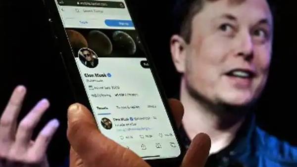 வேன்கார்டு, கிங்டம் 