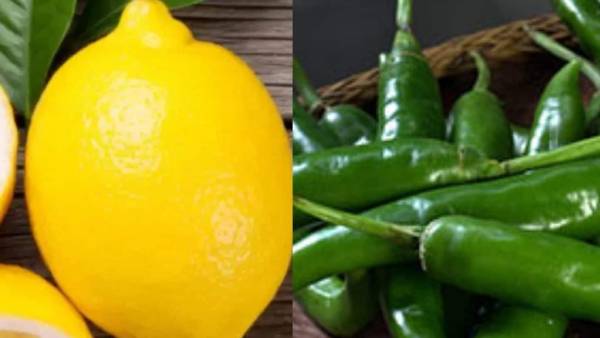 எலுமிச்சை, பச்சை மிளகாய் 