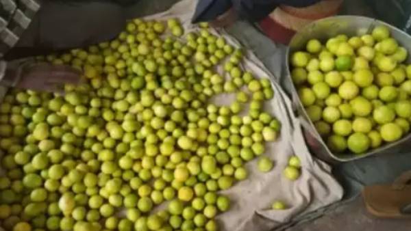 விலை உயர்வு 