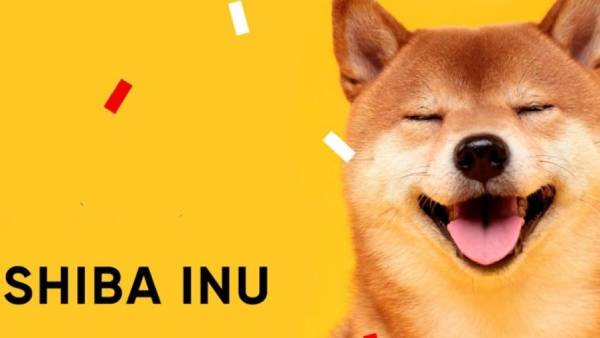  மீம்காயின் 