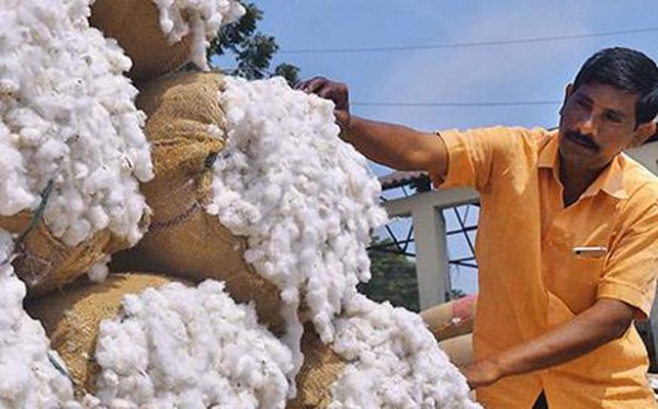 தொடர்ந்து அதிகரிக்கும் விலை