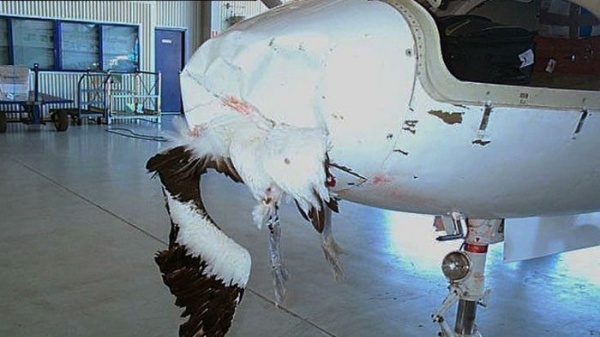 ஜெட் இன்ஜின்கள்