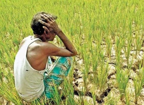 விவசாயி நிலைமை