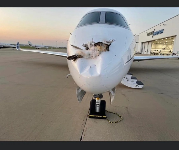 விமான துறை சந்திக்கும் சவால்கள்