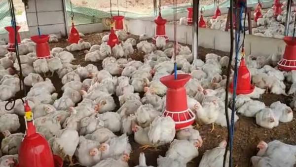 மிஸ்டு கால் 