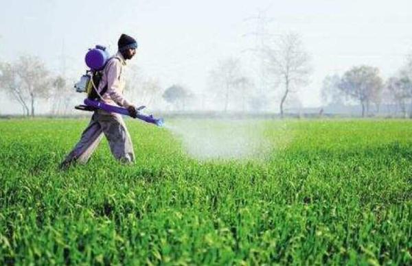 பூச்சிக்கொல்லி