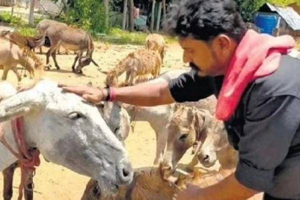 பால் விற்பனை 