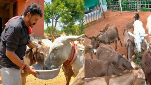 வெற்றி பாதை 