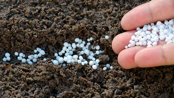 யூரியா இறக்குமதி