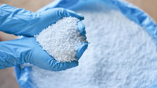 முக்கிய நாடுகள்