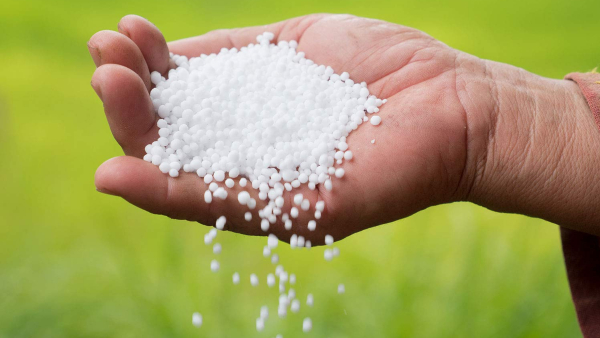 அமெரிக்கா யூரியா ஏற்றுமதி 