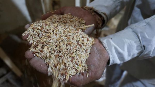 ப்ளைவுட் உற்பத்தி 