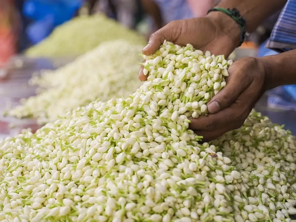 பெரும்பாலும் ஏற்றுமதி